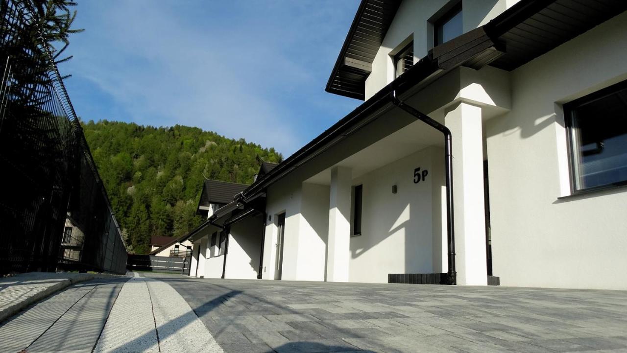 Villa Domino-apartamenty Blue Krościenko